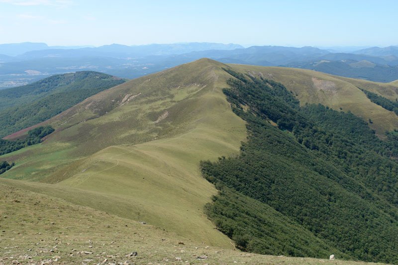 Okolin Saioako tontorretik