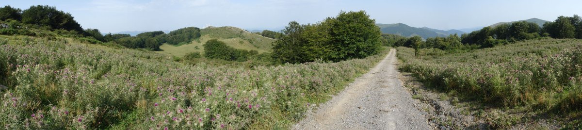 Mendebaldeko bideko panoramika