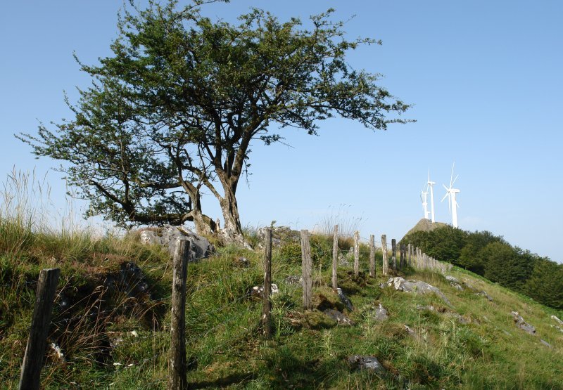 Ekialdeko bizkarretik