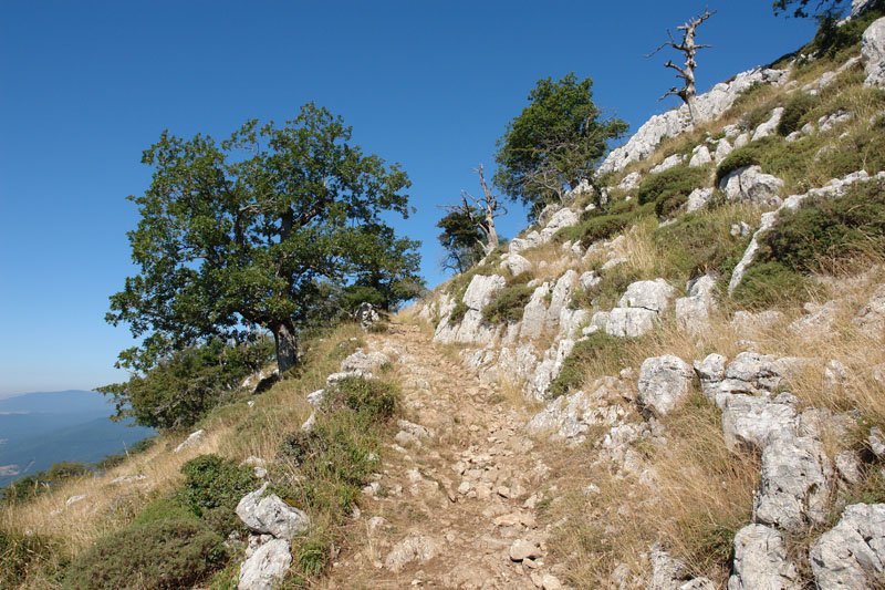 Uharte-Arakil aldeko bidea