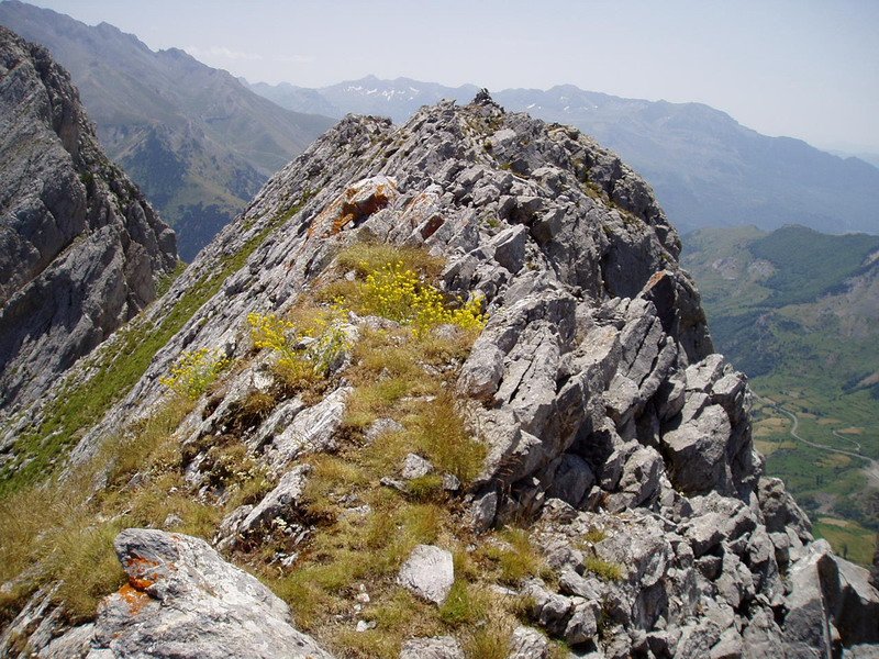 Mendebaldeko tontorra