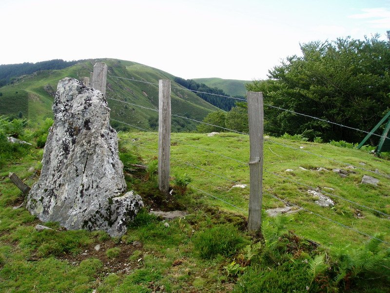 Bidango Gañeko mairubaratza