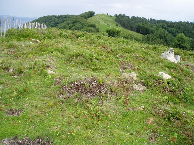 Gaztarrita II mairubaratza