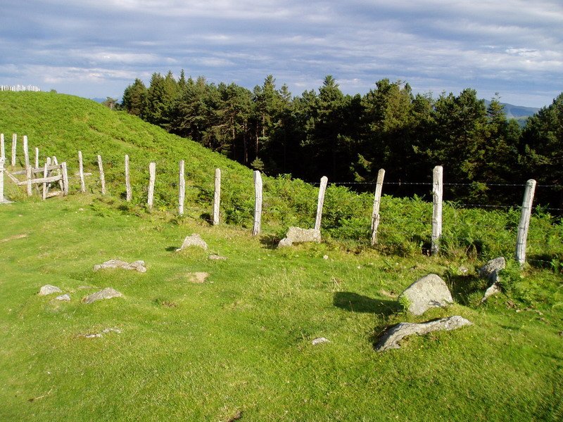 Arritxulangaña edo Irumugarrietako mairubaratzetako bat