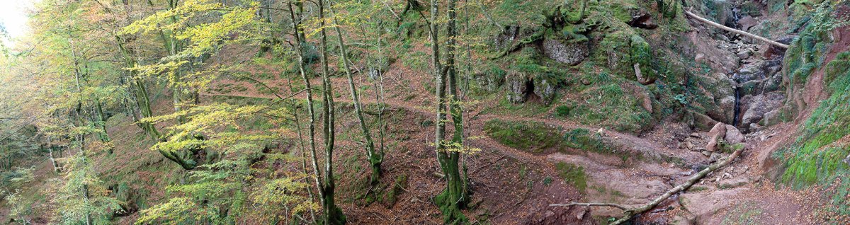 IEko zeharbide zaharra