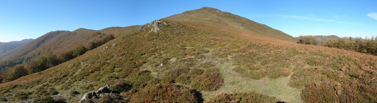 Bonozorrotz IEtik ikusita