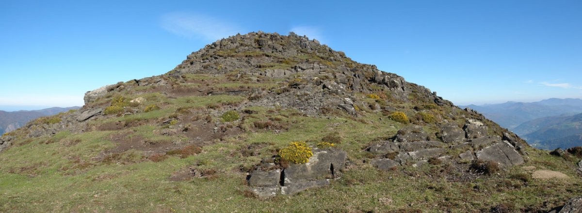 Bonozorrotz tontorra