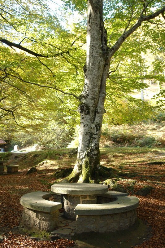 Leurtzako aisiguneko mahaia