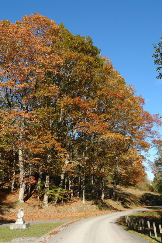 Leurtzako aisiguneko sarrera