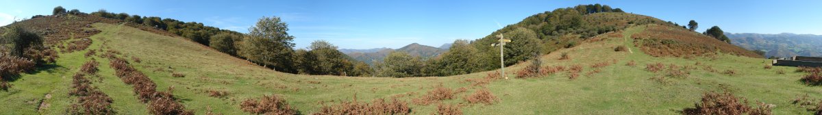 Belaungo lepoko ikuspegi panoramikoa