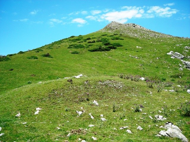 Belokiko gailurra Gazteluetatik