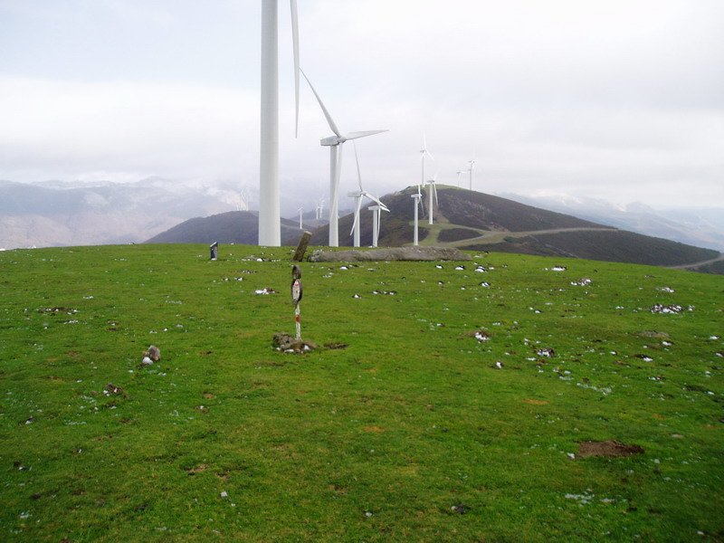 Sekillagako tontorra