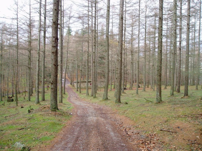 Eztepasakon edo Mikeletxeko bidegurutzea