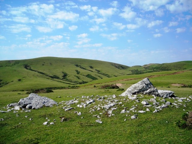 Trikuarriko trikuharria