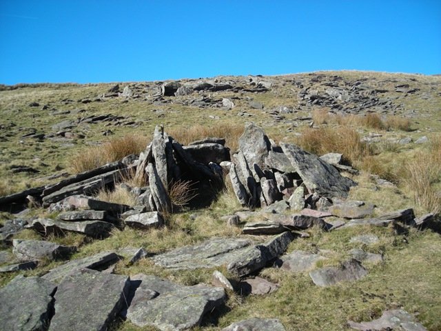 Bardaxiloko trikuharria