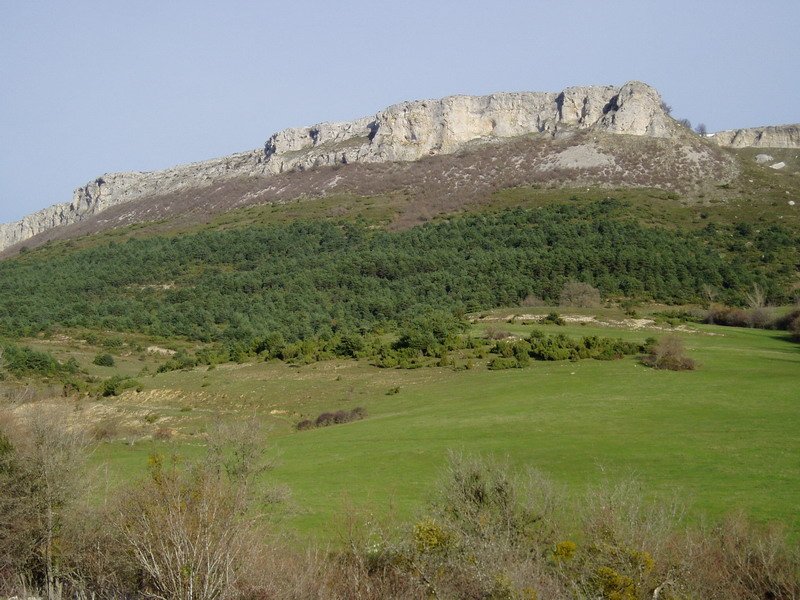 Hego-ekialdetik ikusita