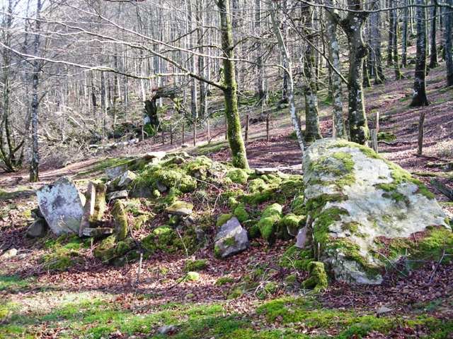 Loiketako  trikuharria