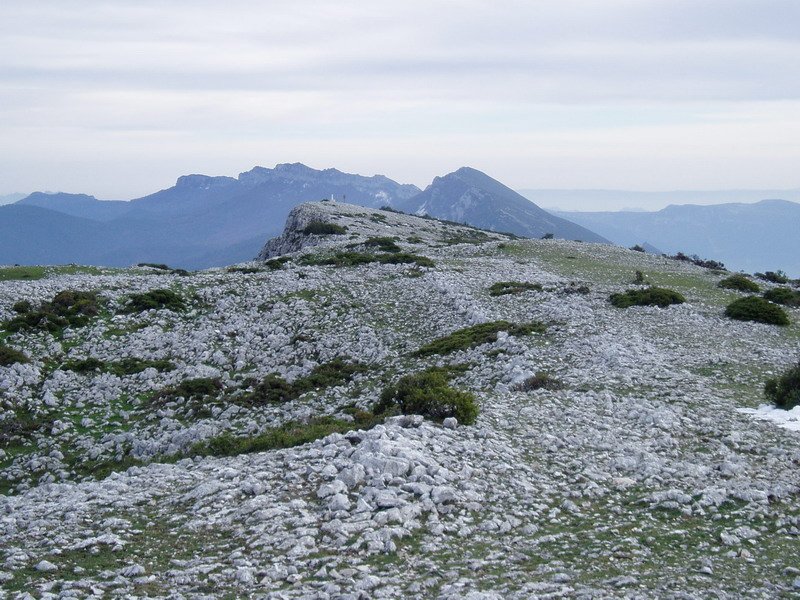 Tontorraren inguruak