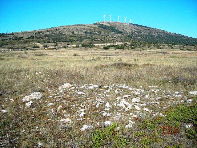 La Mazorratik ikusita