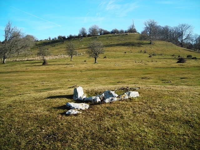 Legaireko  trikuharria