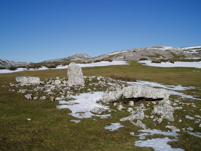 Trikuarriko trikuharria