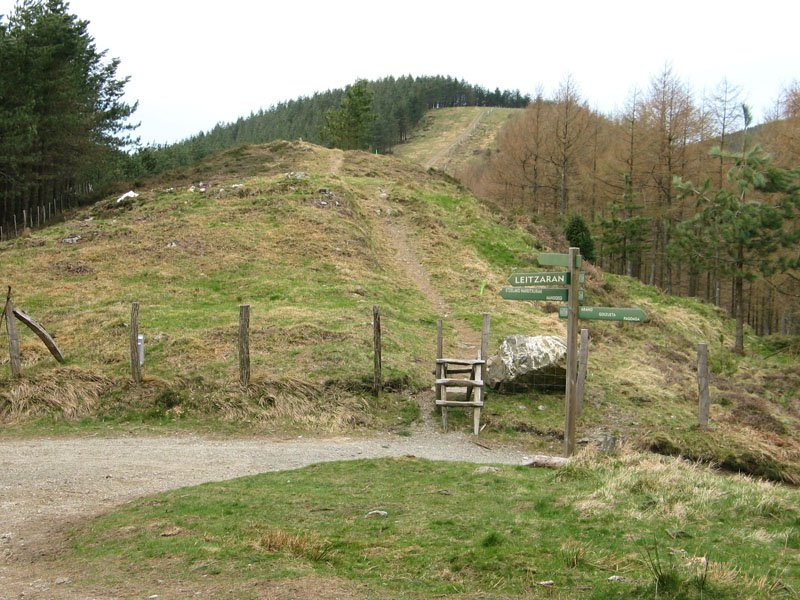 Etzelako lepotik ikusita