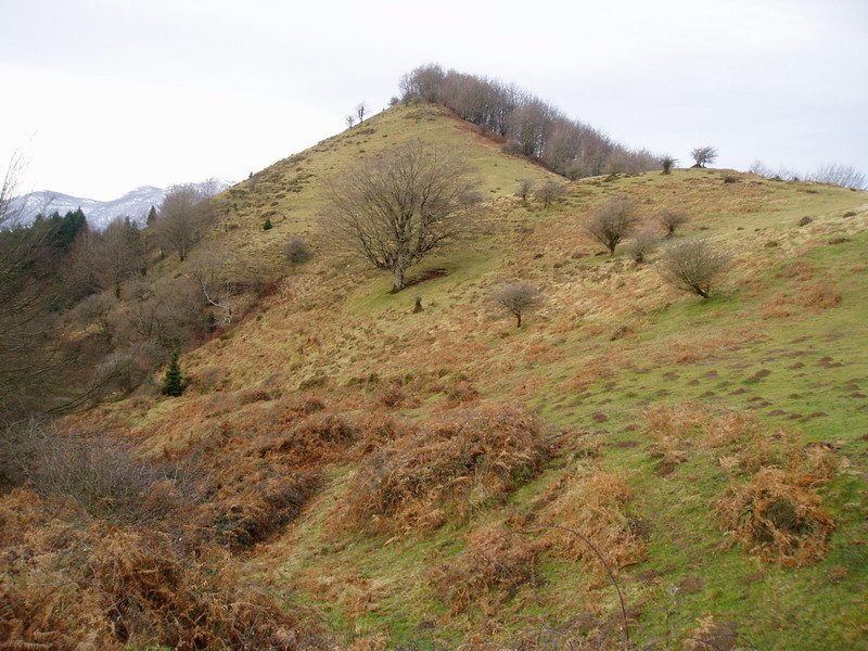 Unanibi ekialdetik ikusita