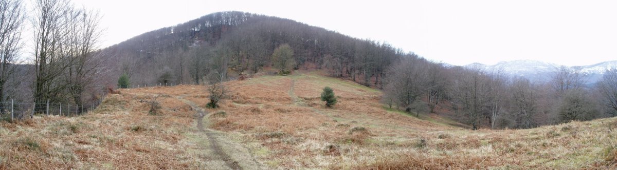 Iparraldeko lepotik ikusita