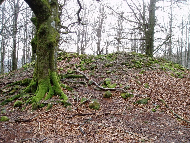 Balankaleku Ipar trikuharria