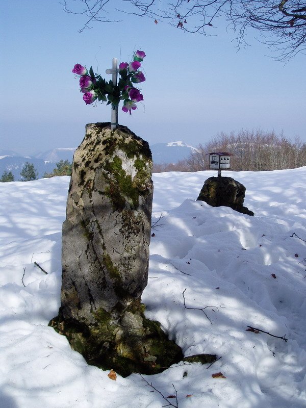 Kurutzebakarreko gurutzea eta buzoia