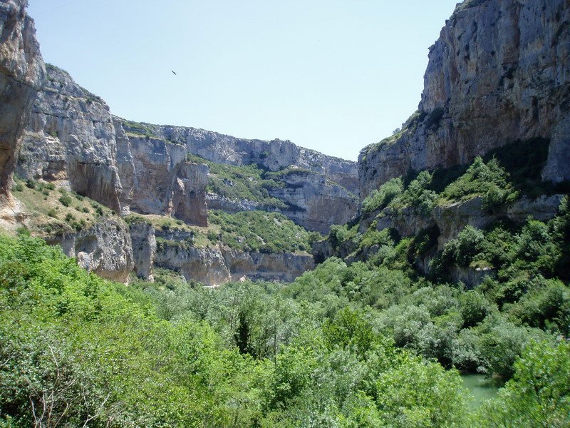 Arroilaren erdialdea