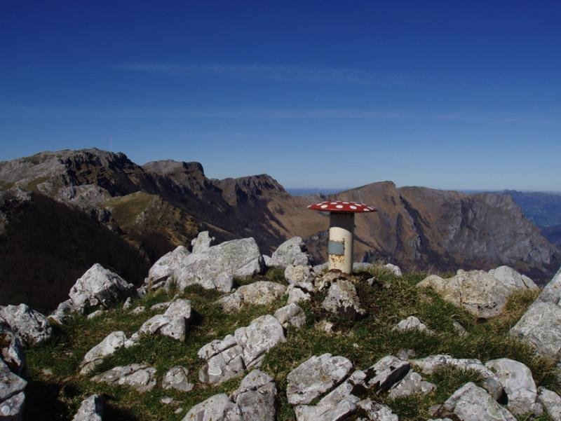 Pallardiko tontorra eta mailoak