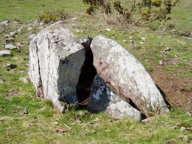 Ibaineta lepoko trikuharria