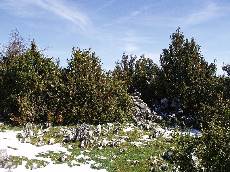 Bezea-Larraungo gailurra (1195m)