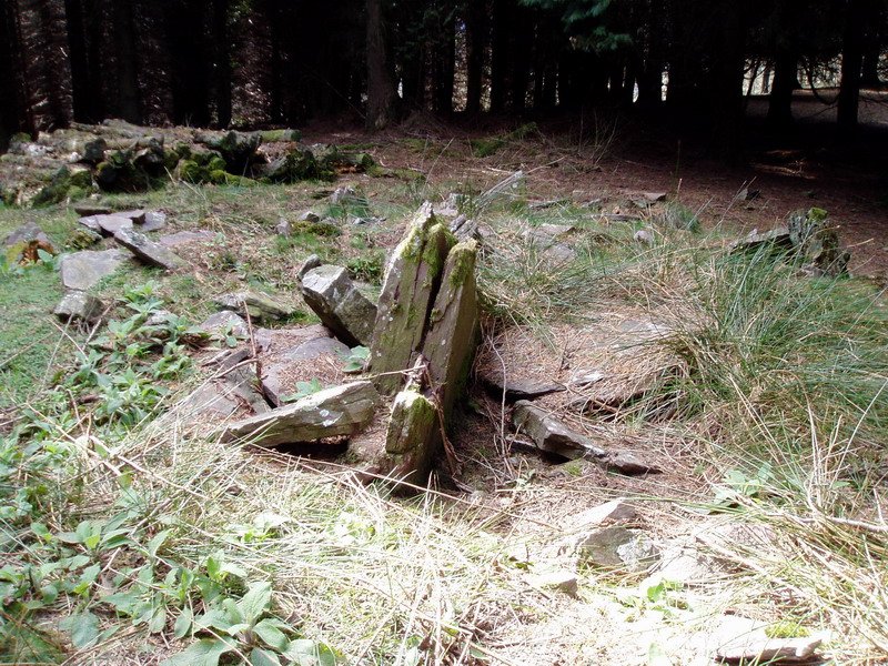 Basaburu trikuharria