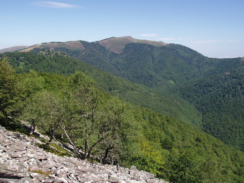 Xuriain, Burdindogiko "balkoitik"