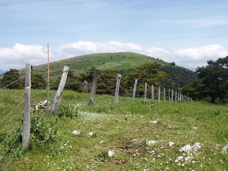 Oihartzabalgo gailurra, atzean Baratxueta