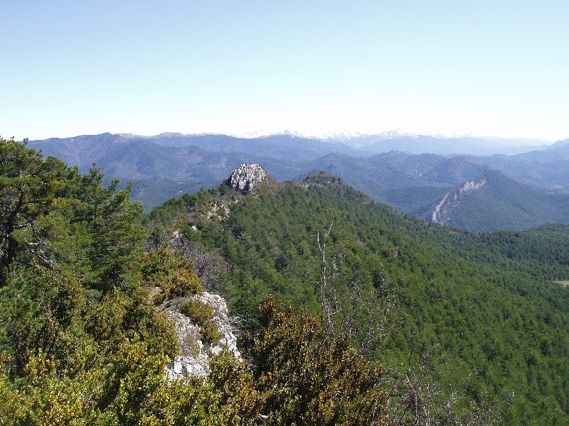 Beortea-Alduko gandorrean gora