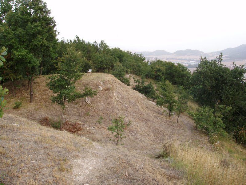 Goialdearen ikuspegia