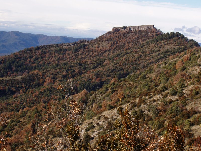Kukula Algaraietatik
