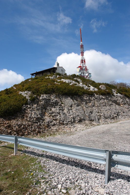 Tontorra errepidetik
