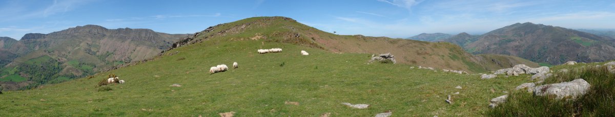 Tontorra Hegoaldetik