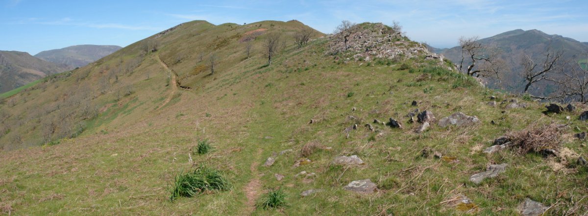 Tontorra Hegoaldeko bizkarretik