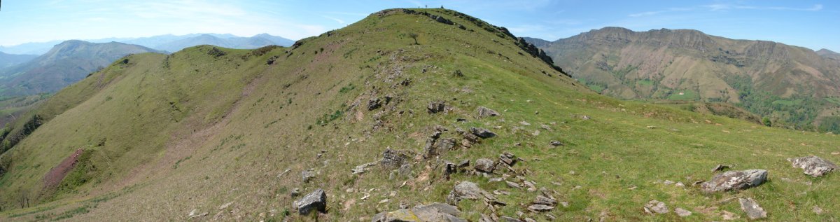 Tontorra IEko bizkarretik