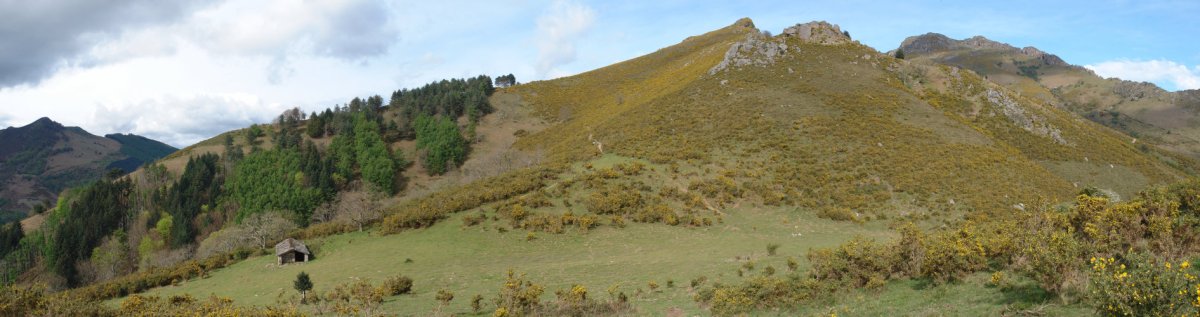 Faageko bizkarra Olhain muinotik