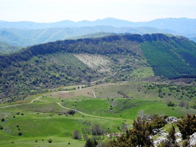 Sarastarri Uelogoenatik