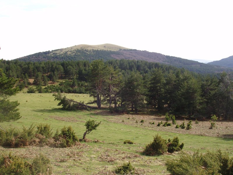 Txorrotxarria Lazako pistatik