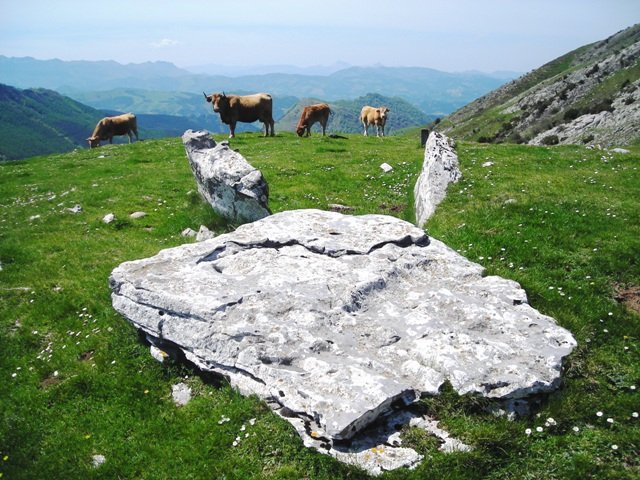 Zearragoenako trikuharria