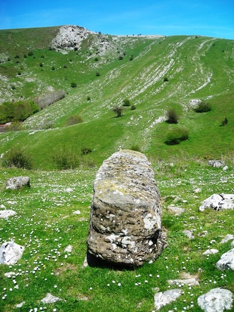 Supitaitzeko zutarria, Uiduin