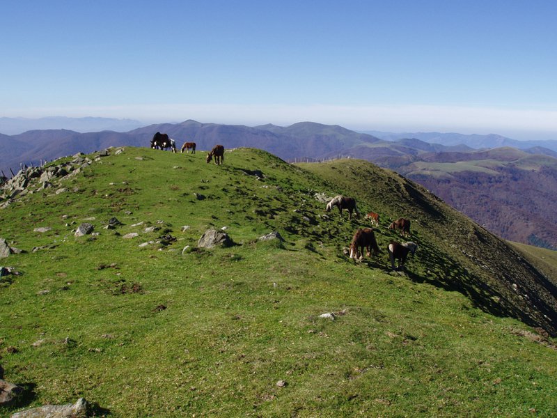 Gailurretik mendebalderantz